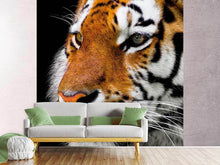 Load image into Gallery viewer, Photo Wallpaper Close up tiger head
