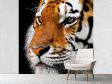 Load image into Gallery viewer, Photo Wallpaper Close up tiger head
