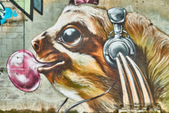 Photo Wallpaper That's where the dog rocks