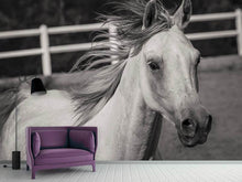 Load image into Gallery viewer, Photo Wallpaper There is a horse
