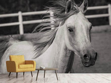 Load image into Gallery viewer, Photo Wallpaper There is a horse
