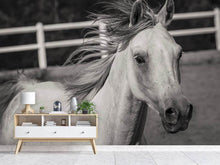Load image into Gallery viewer, Photo Wallpaper There is a horse
