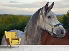 Load image into Gallery viewer, Photo Wallpaper The arabian thoroughbred
