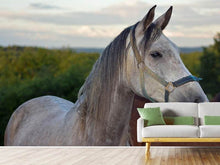 Load image into Gallery viewer, Photo Wallpaper The arabian thoroughbred
