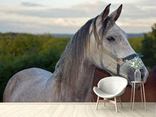 Load image into Gallery viewer, Photo Wallpaper The arabian thoroughbred
