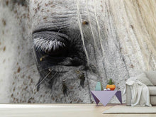 Load image into Gallery viewer, Photo Wallpaper The eye of the horse
