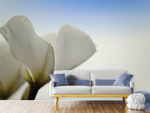 Load image into Gallery viewer, Photo Wallpaper The leaf of a lily blossom
