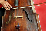 Photo Wallpaper The cello