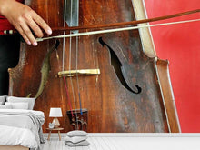 Load image into Gallery viewer, Photo Wallpaper The cello
