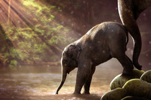 Load image into Gallery viewer, Photo Wallpaper The elephant baby
