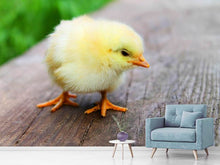 Load image into Gallery viewer, Photo Wallpaper The chick
