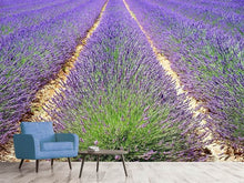 Load image into Gallery viewer, Photo Wallpaper The lavender field
