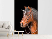 Load image into Gallery viewer, Photo Wallpaper The last Unicorn
