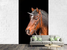 Load image into Gallery viewer, Photo Wallpaper The last Unicorn
