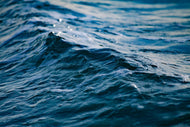 Photo Wallpaper The sea XL