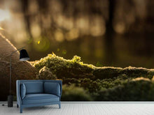 Load image into Gallery viewer, Photo Wallpaper The moss
