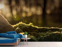 Load image into Gallery viewer, Photo Wallpaper The moss
