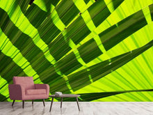 Load image into Gallery viewer, Photo Wallpaper The palm leaf in XL
