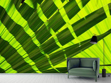 Load image into Gallery viewer, Photo Wallpaper The palm leaf in XL
