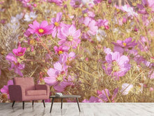 Load image into Gallery viewer, Photo Wallpaper The jewelry basket Cosmea
