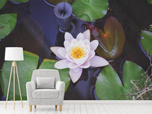Load image into Gallery viewer, Photo Wallpaper The lily pad in white
