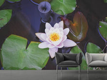 Load image into Gallery viewer, Photo Wallpaper The lily pad in white

