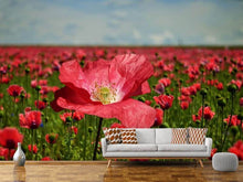 Load image into Gallery viewer, Photo Wallpaper The lush poppy field
