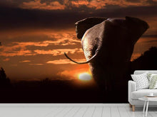 Load image into Gallery viewer, Photo Wallpaper Towards the sunset
