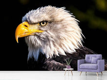 Load image into Gallery viewer, Photo Wallpaper The eagle head

