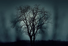 Load image into Gallery viewer, Photo Wallpaper The tree in darkness
