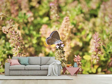 Load image into Gallery viewer, Photo Wallpaper The blue
