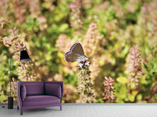 Load image into Gallery viewer, Photo Wallpaper The blue
