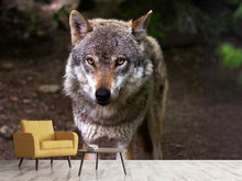 Load image into Gallery viewer, Photo Wallpaper The evil wolf
