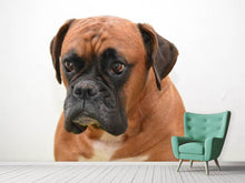 Load image into Gallery viewer, Photo Wallpaper The boxer
