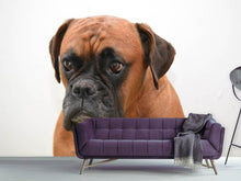 Load image into Gallery viewer, Photo Wallpaper The boxer
