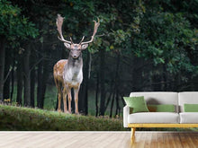 Load image into Gallery viewer, Photo Wallpaper The fallow deer 2
