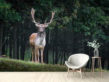 Load image into Gallery viewer, Photo Wallpaper The fallow deer 2

