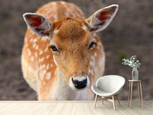 Load image into Gallery viewer, Photo Wallpaper The fallow deer

