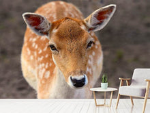 Load image into Gallery viewer, Photo Wallpaper The fallow deer
