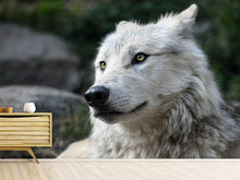 Load image into Gallery viewer, Photo Wallpaper The lonely wolf

