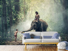 Load image into Gallery viewer, Photo Wallpaper The elephant at work
