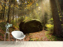 Load image into Gallery viewer, Photo Wallpaper The rock in the forest
