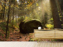 Load image into Gallery viewer, Photo Wallpaper The rock in the forest
