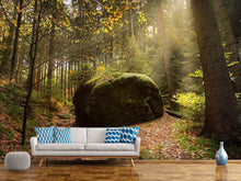 Load image into Gallery viewer, Photo Wallpaper The rock in the forest
