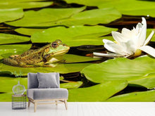 Load image into Gallery viewer, Photo Wallpaper The frog and the water lily
