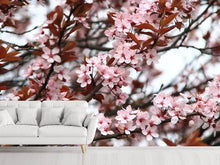 Load image into Gallery viewer, Photo Wallpaper Spring is here
