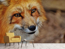 Load image into Gallery viewer, Photo Wallpaper The Fox
