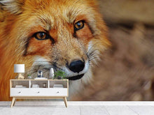 Load image into Gallery viewer, Photo Wallpaper The Fox
