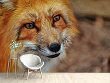 Load image into Gallery viewer, Photo Wallpaper The Fox
