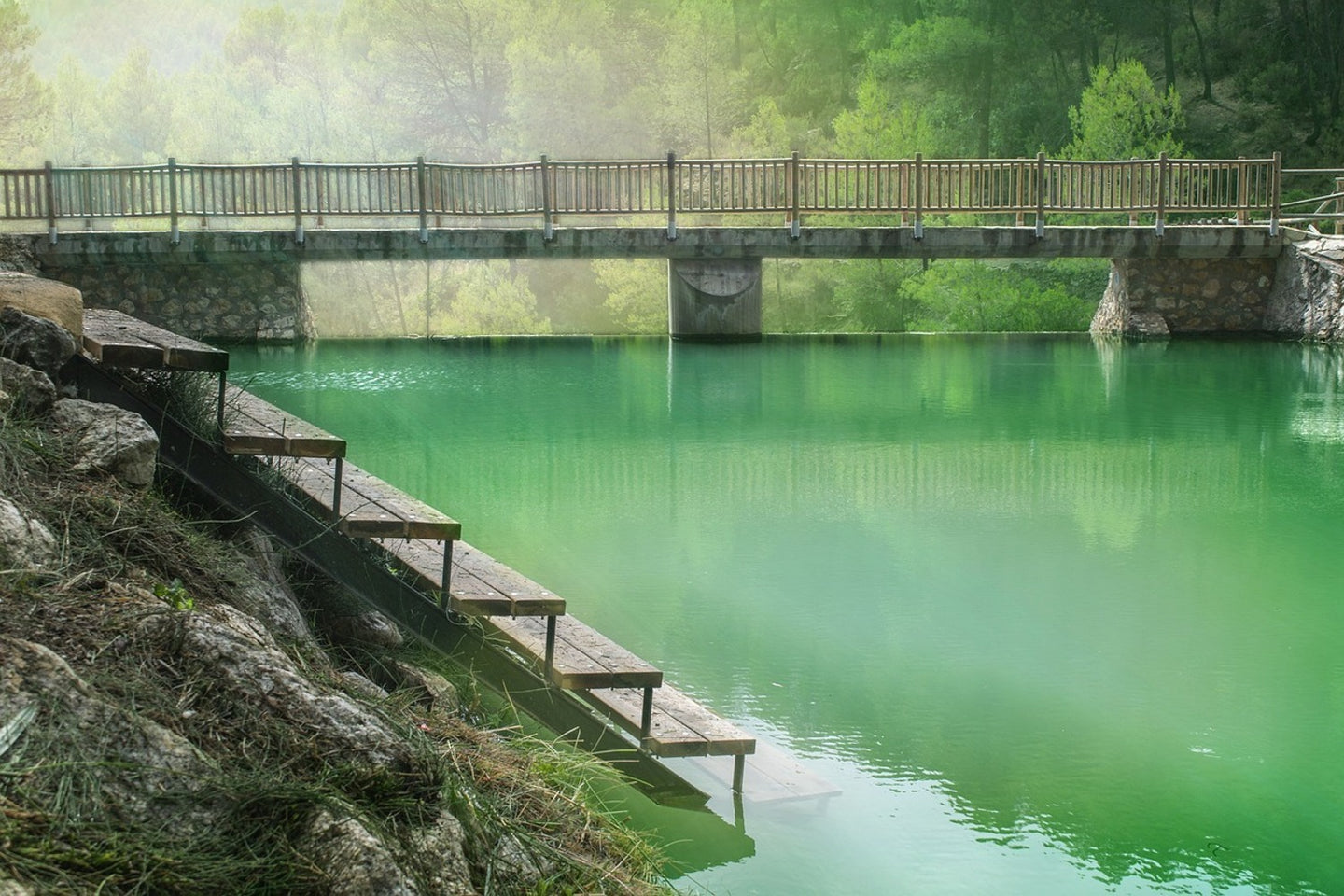 Photo Wallpaper The green pond